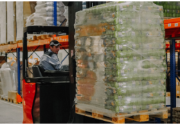 Впізнавані з першого погляду